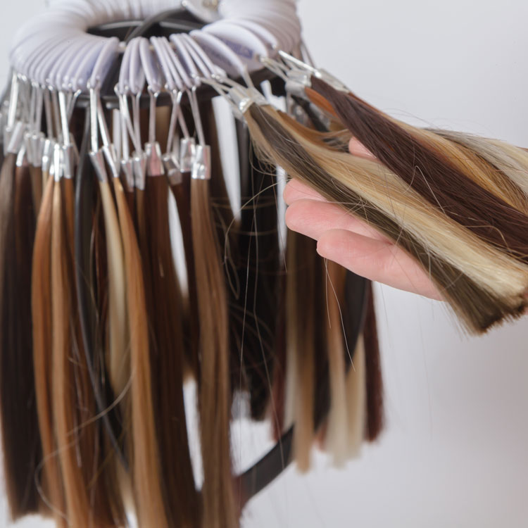 Farbsamples verschiedene Haarfarben an einem Farbring