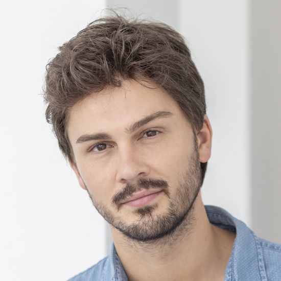 ellen wille Herrenperücke Justin